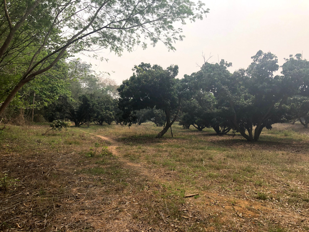 Land for Sale in Chiang Dao Longan Garden 2, Chiang Mai