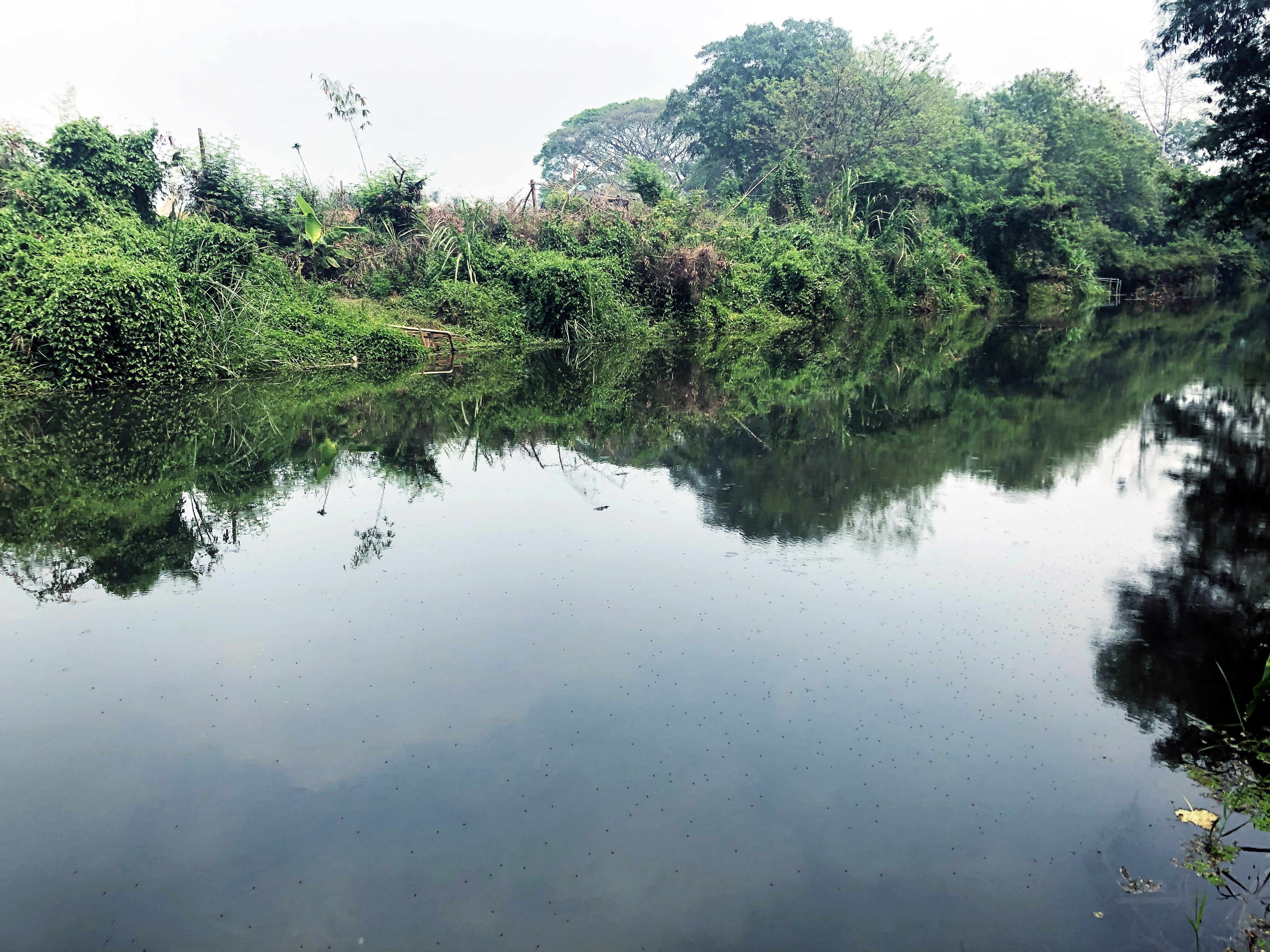Land for Sale in Chiang Dao Ping River 2, Chiang Mai