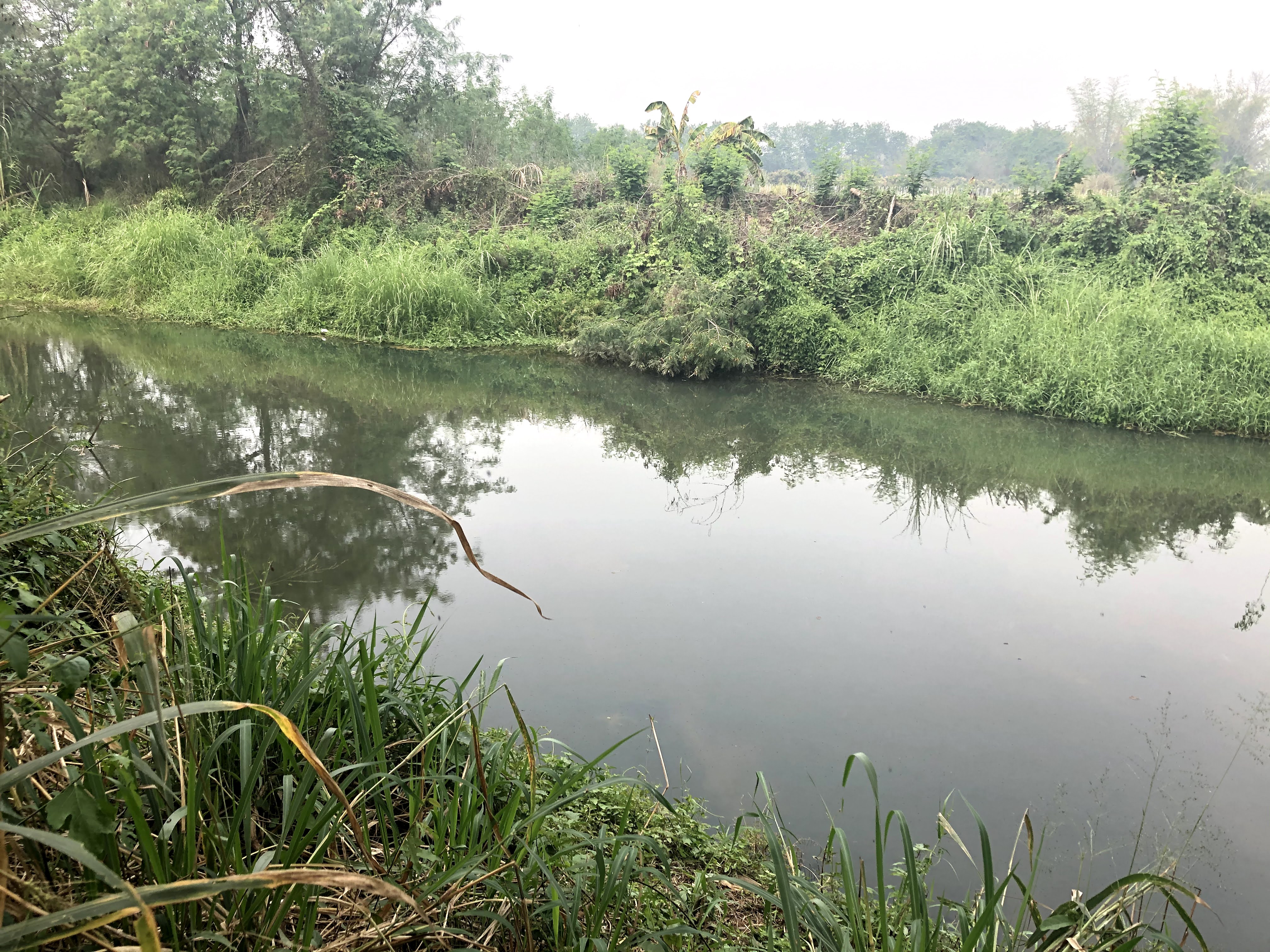 Land for Sale in Chiang Dao Ping River 3, Chiang Mai